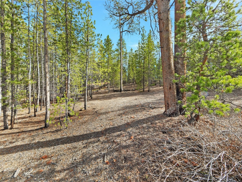 198 Fir Drive Leadville CO 80461