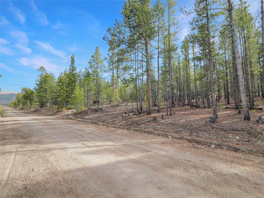 198 Fir Drive Leadville CO 80461