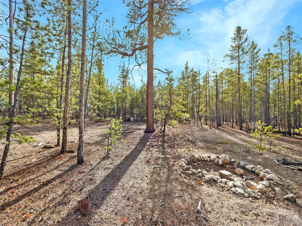 198 Fir Drive Leadville CO 80461