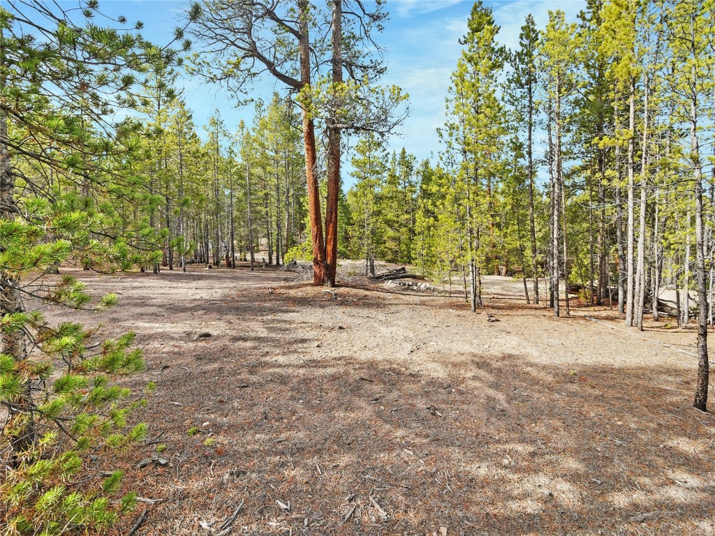 198 Fir Drive Leadville CO 80461