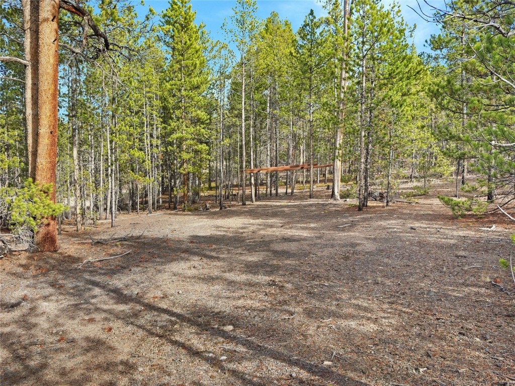 198 Fir Drive Leadville CO 80461
