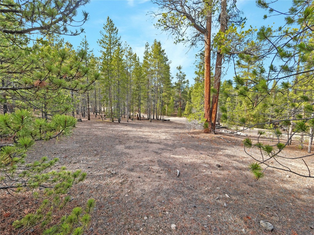198 Fir Drive Leadville CO 80461