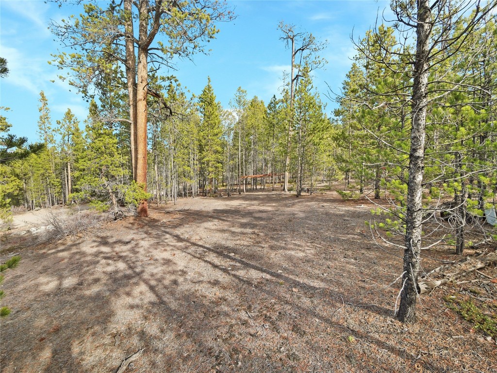 198 Fir Drive Leadville CO 80461