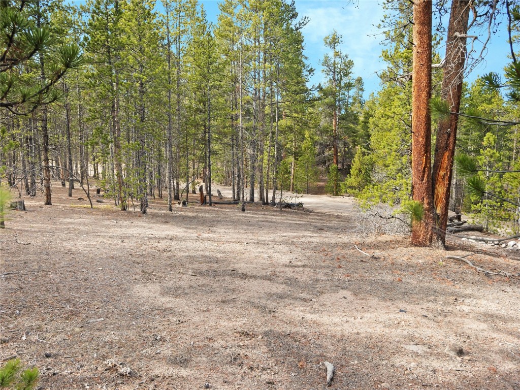 198 Fir Drive Leadville CO 80461