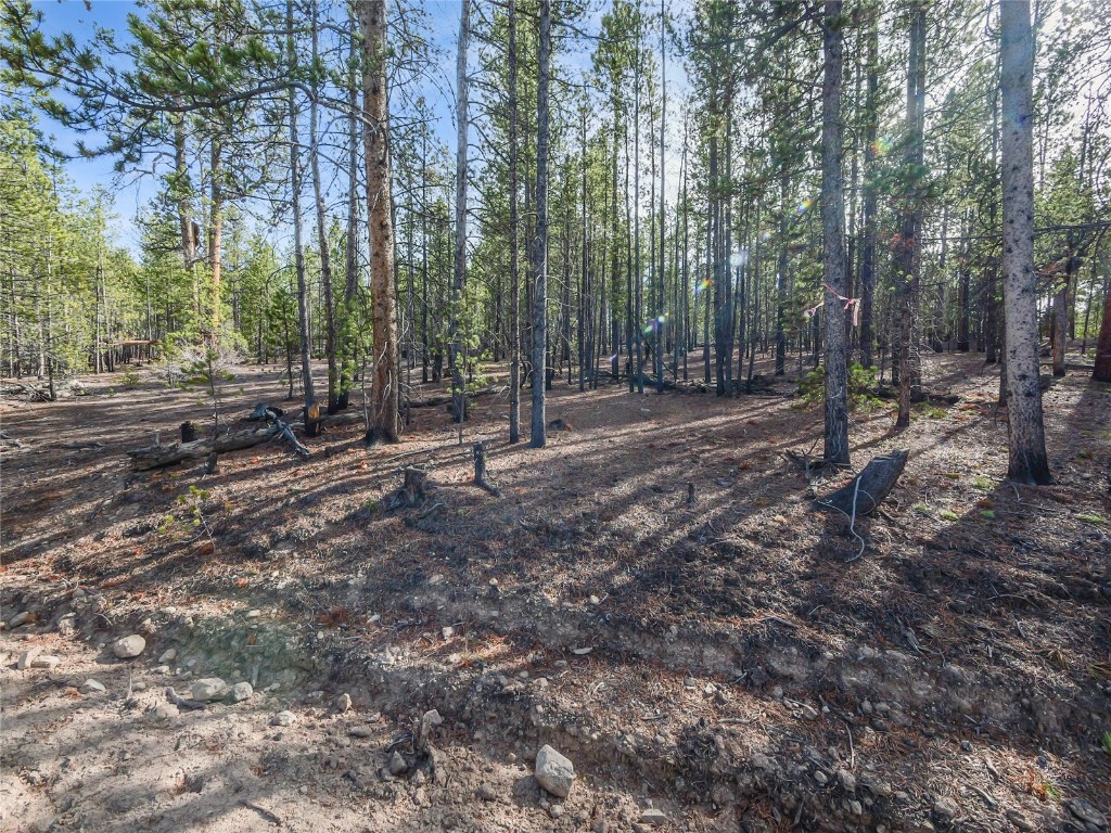 198 Fir Drive Leadville CO 80461