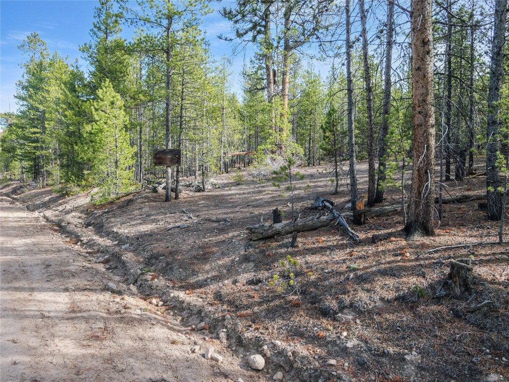 198 Fir Drive Leadville CO 80461