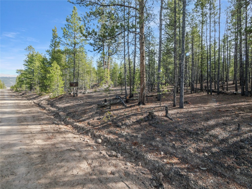 198 Fir Drive Leadville CO 80461