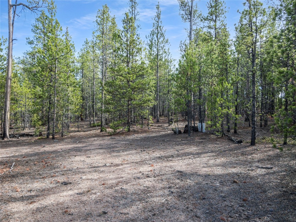 198 Fir Drive Leadville CO 80461
