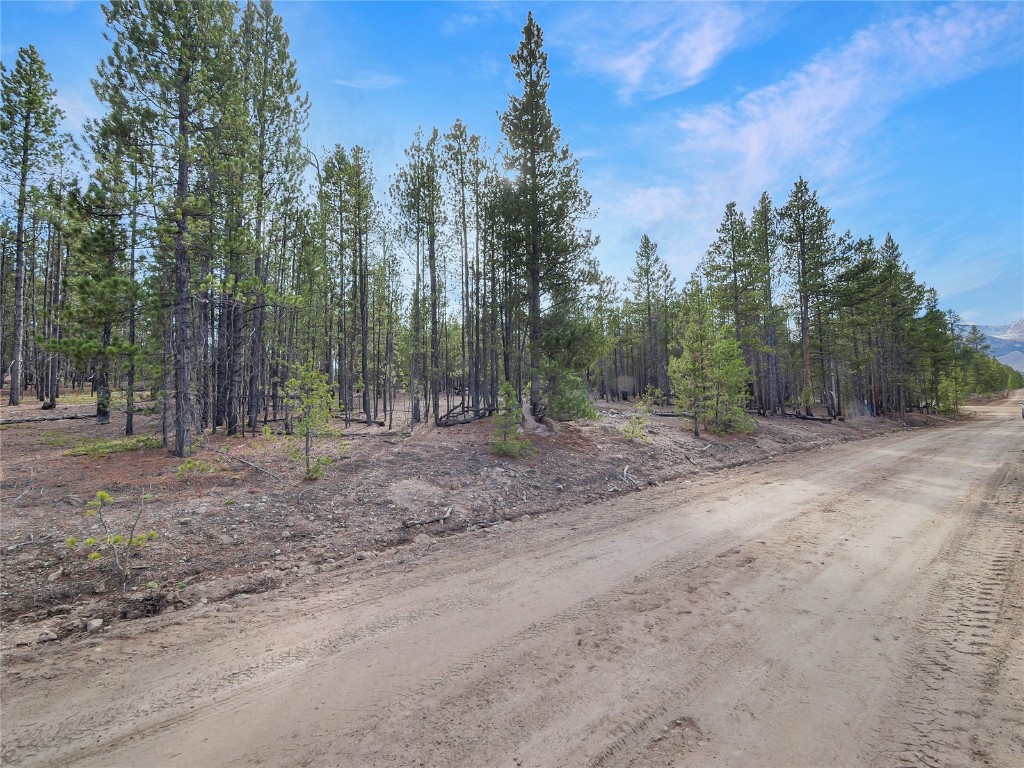 198 Fir Drive Leadville CO 80461