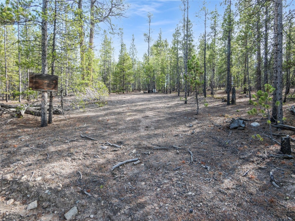 198 Fir Drive Leadville CO 80461