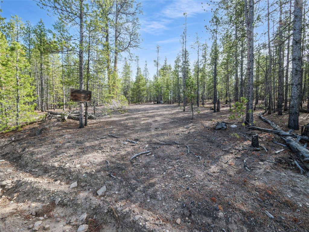 198 Fir Drive Leadville CO 80461
