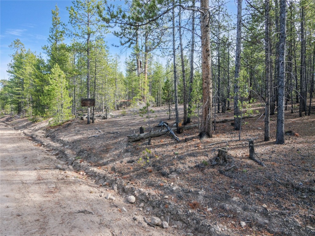 198 Fir Drive Leadville CO 80461