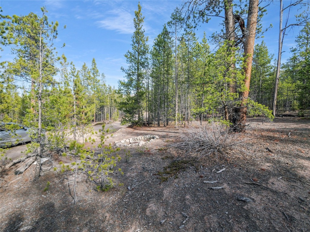 198 Fir Drive Leadville CO 80461
