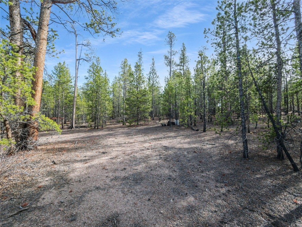 198 Fir Drive Leadville CO 80461