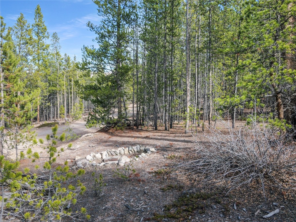 198 Fir Drive Leadville CO 80461