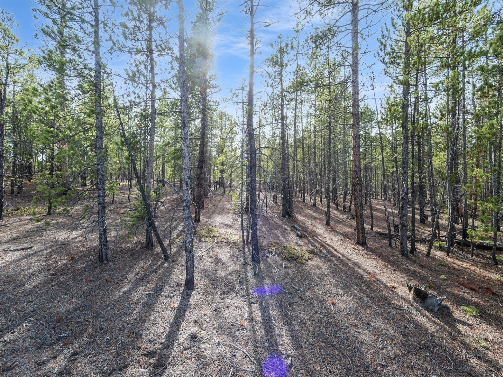 198 Fir Drive Leadville CO 80461