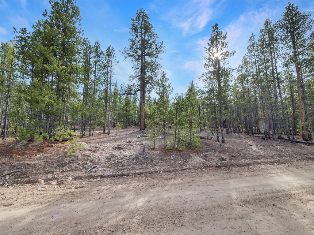 198 Fir Drive Leadville CO 80461
