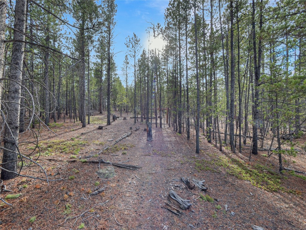 198 Fir Drive Leadville CO 80461