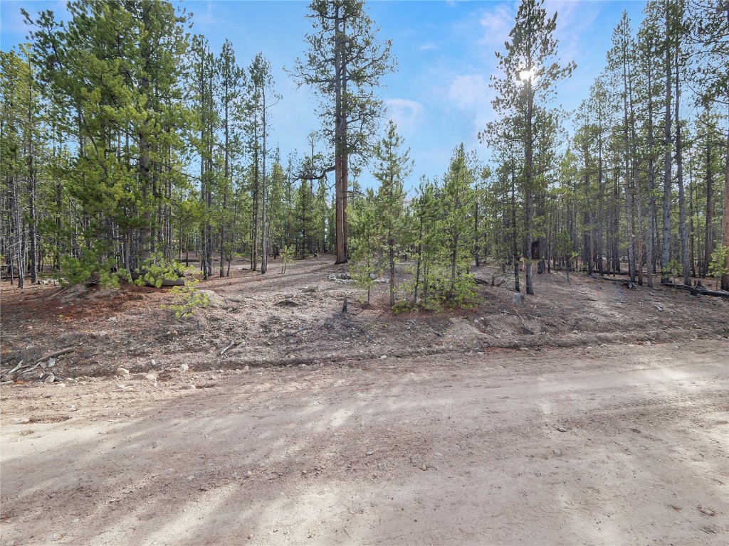 198 Fir Drive Leadville CO 80461