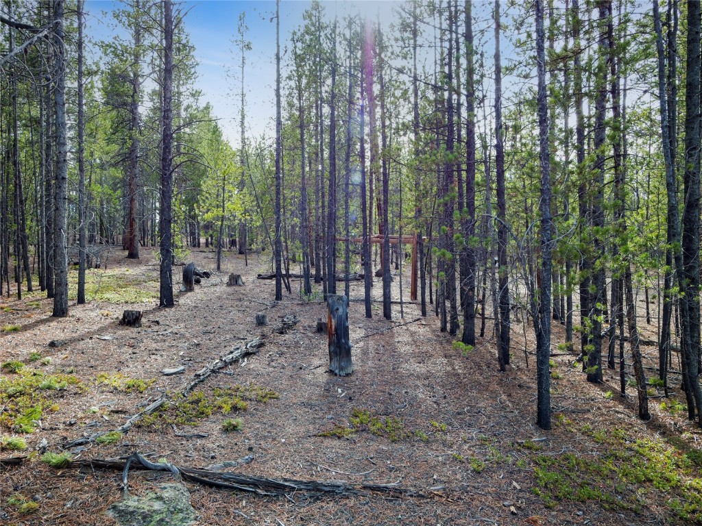 198 Fir Drive Leadville CO 80461