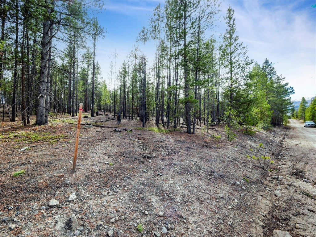 198 Fir Drive Leadville CO 80461