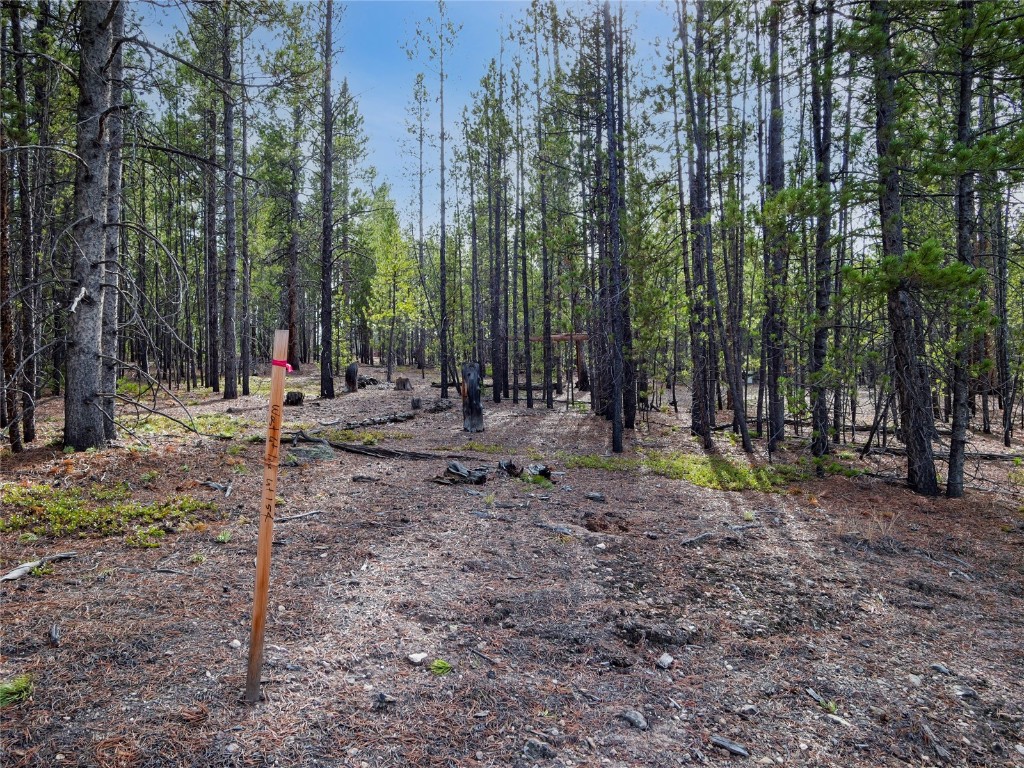 198 Fir Drive Leadville CO 80461