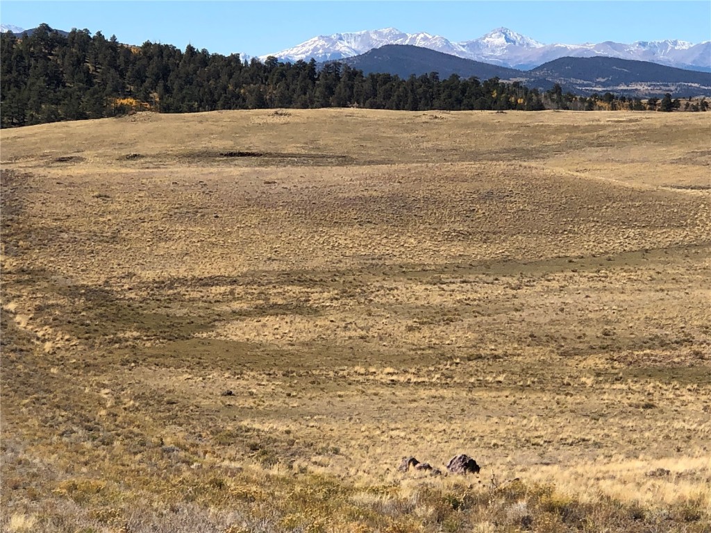 3036 Jumano Trail Hartsel CO 80449