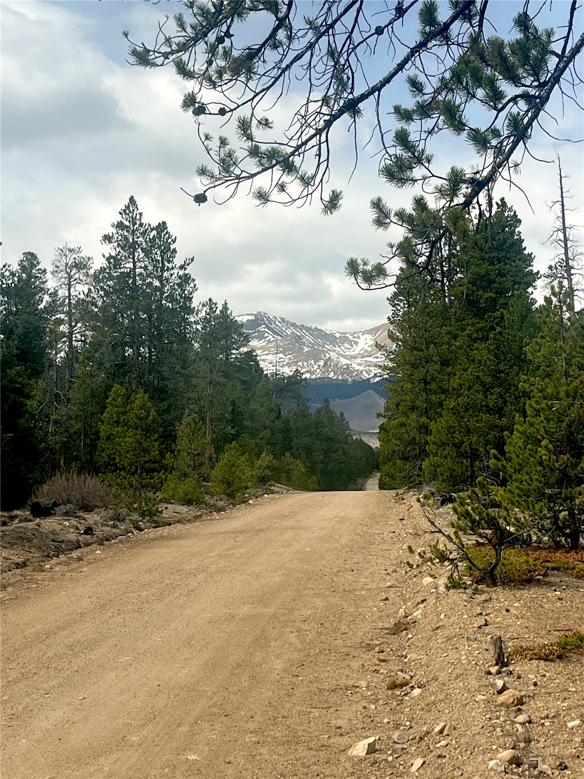 105 Fir Road Twin Lakes CO 80461
