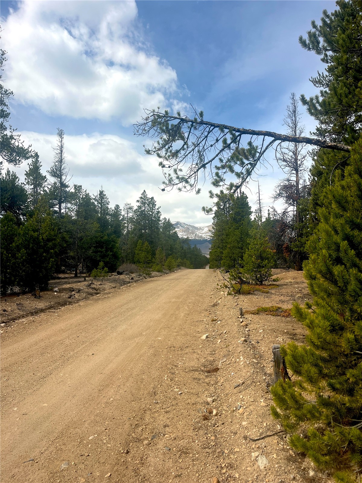 105 Fir Road Twin Lakes CO 80461