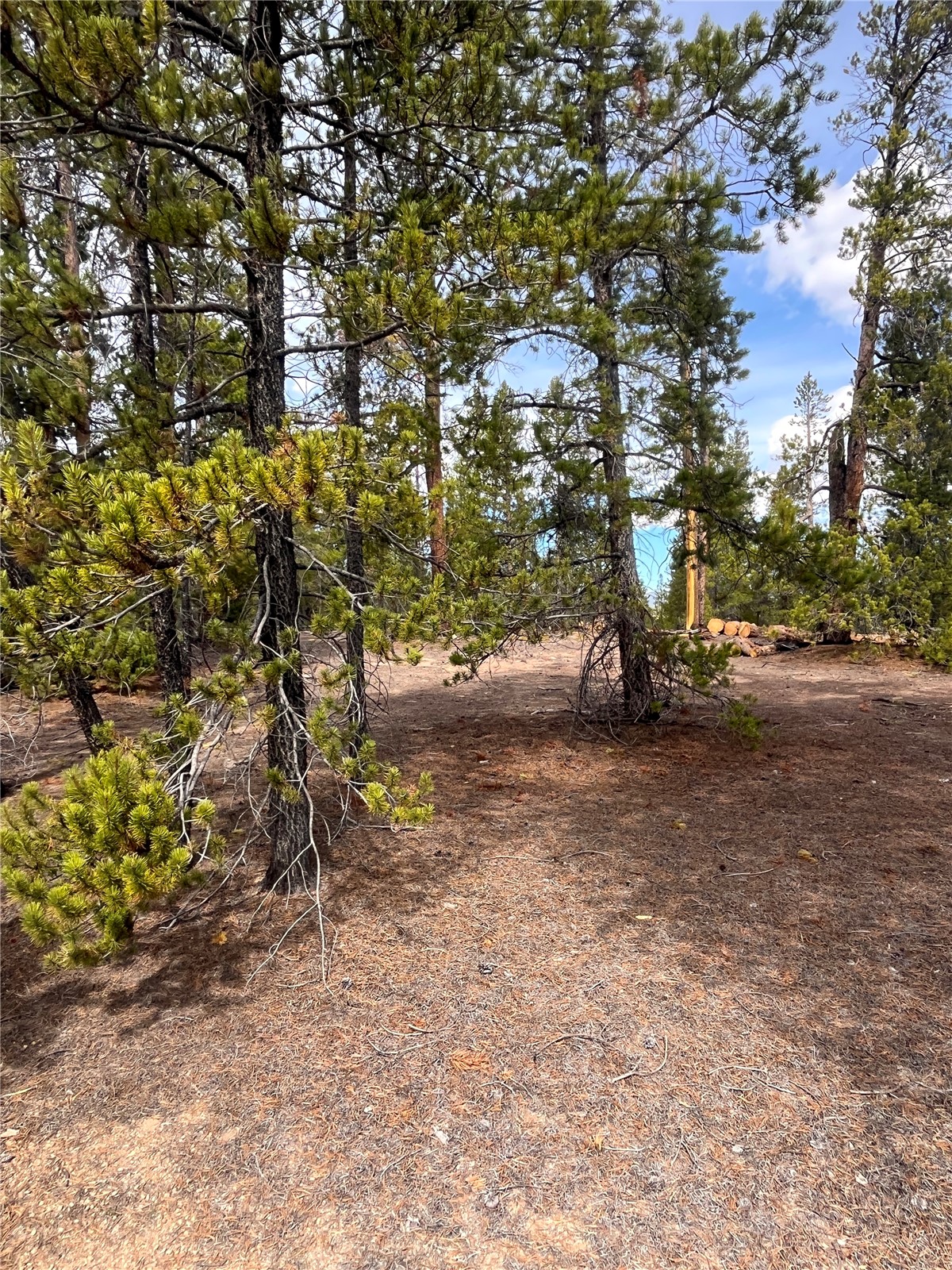 105 Fir Road Twin Lakes CO 80461