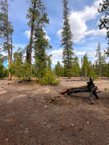 105 Fir Road Twin Lakes CO 80461