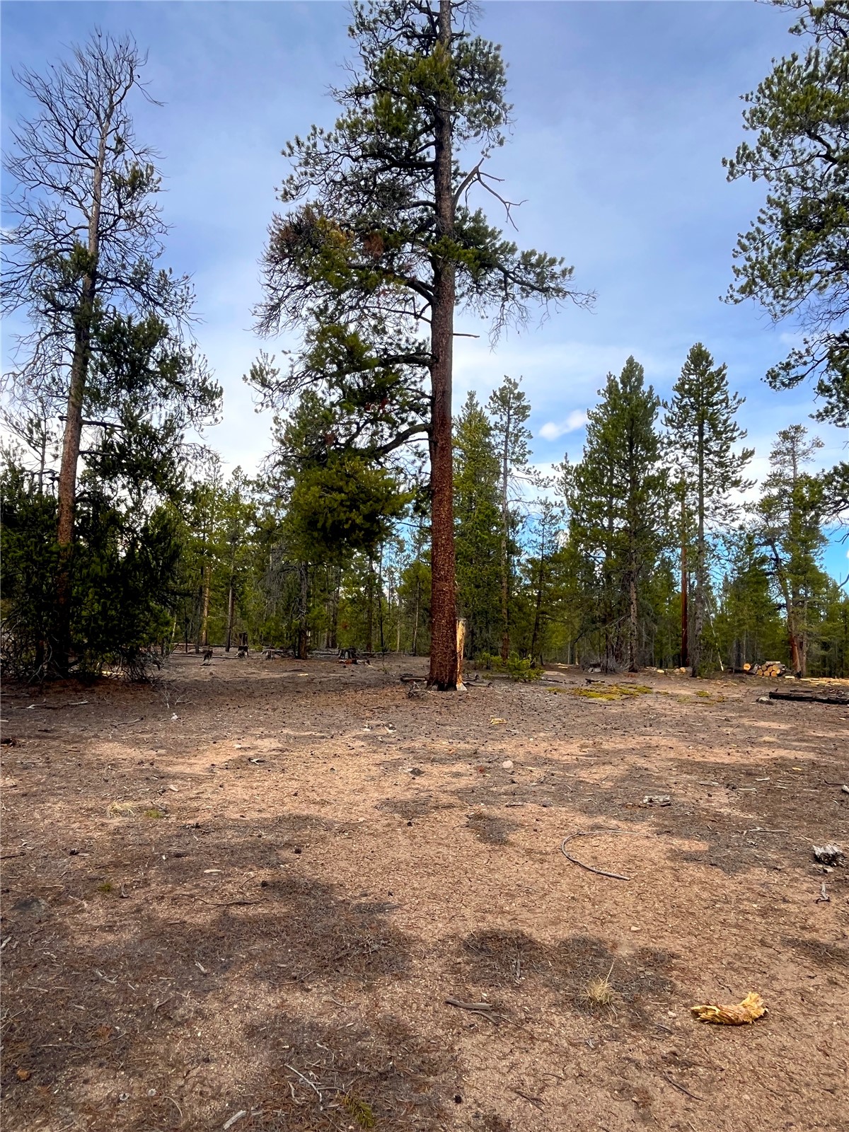 105 Fir Road Twin Lakes CO 80461