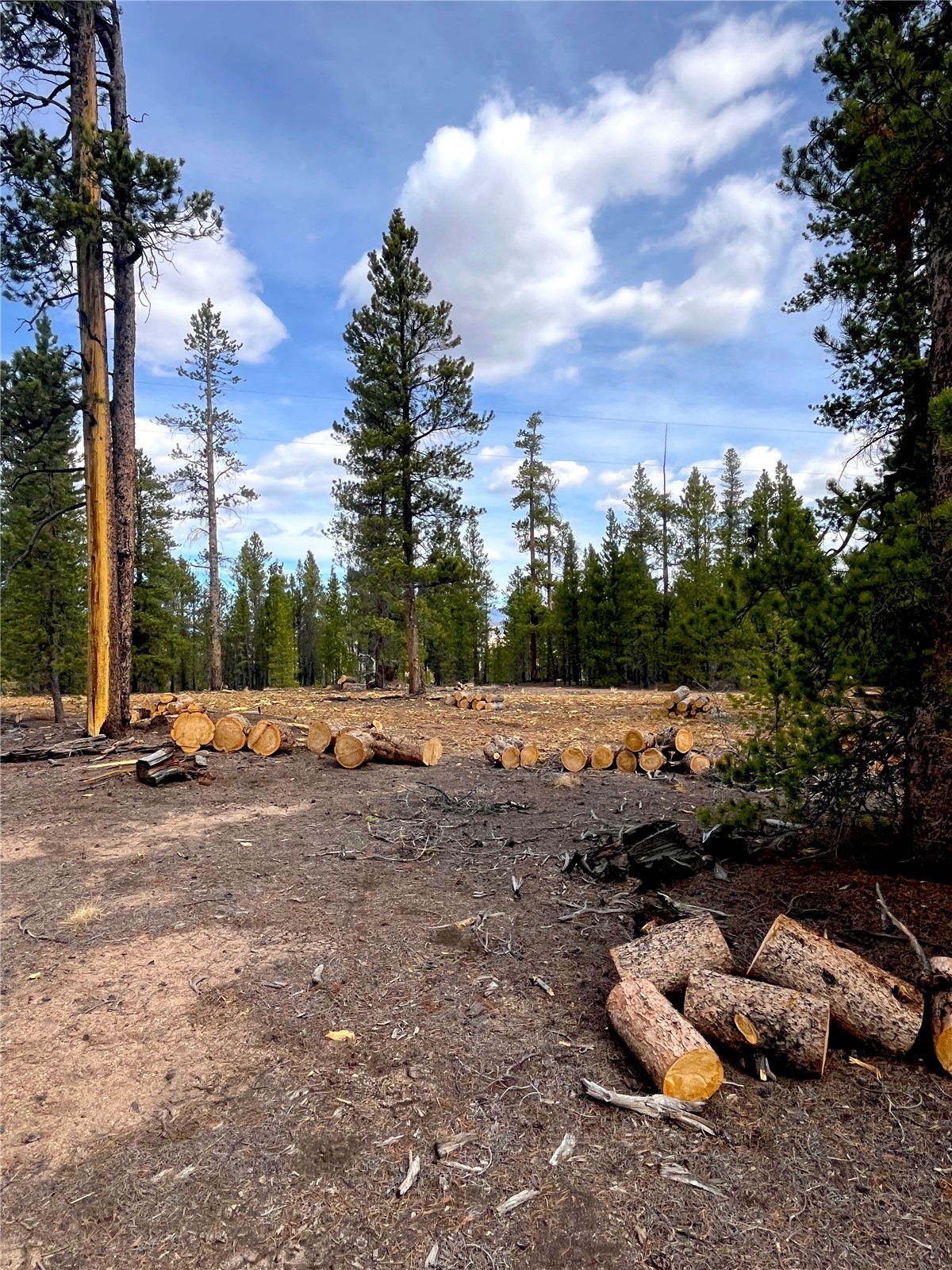 105 Fir Road Twin Lakes CO 80461