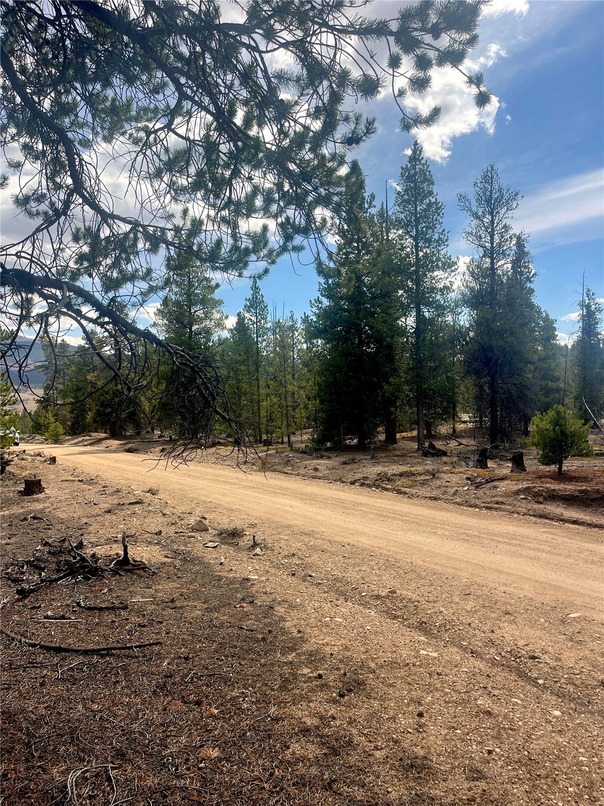 105 Fir Road Twin Lakes CO 80461
