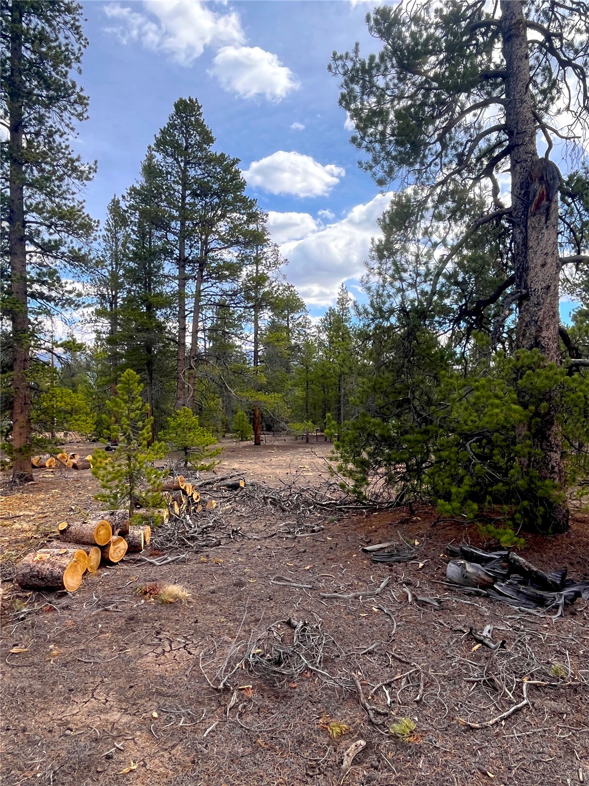 105 Fir Road Twin Lakes CO 80461