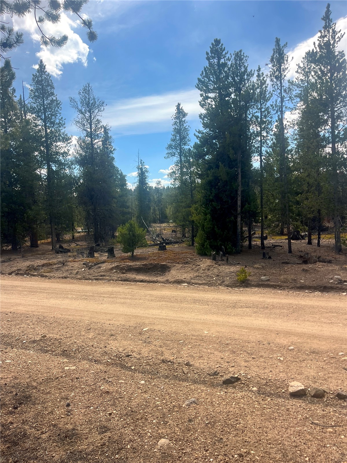 105 Fir Road Twin Lakes CO 80461