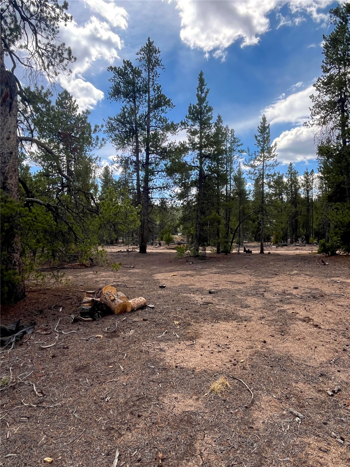 105 Fir Road Twin Lakes CO 80461