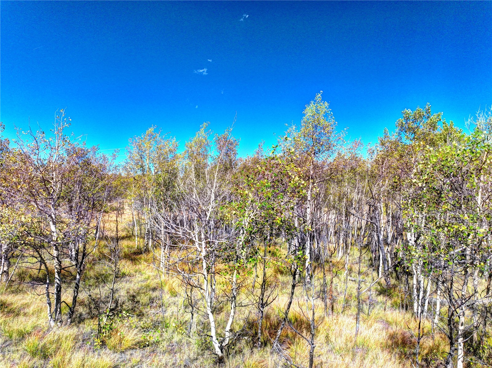 1300 Warrior Circle Como CO 80432