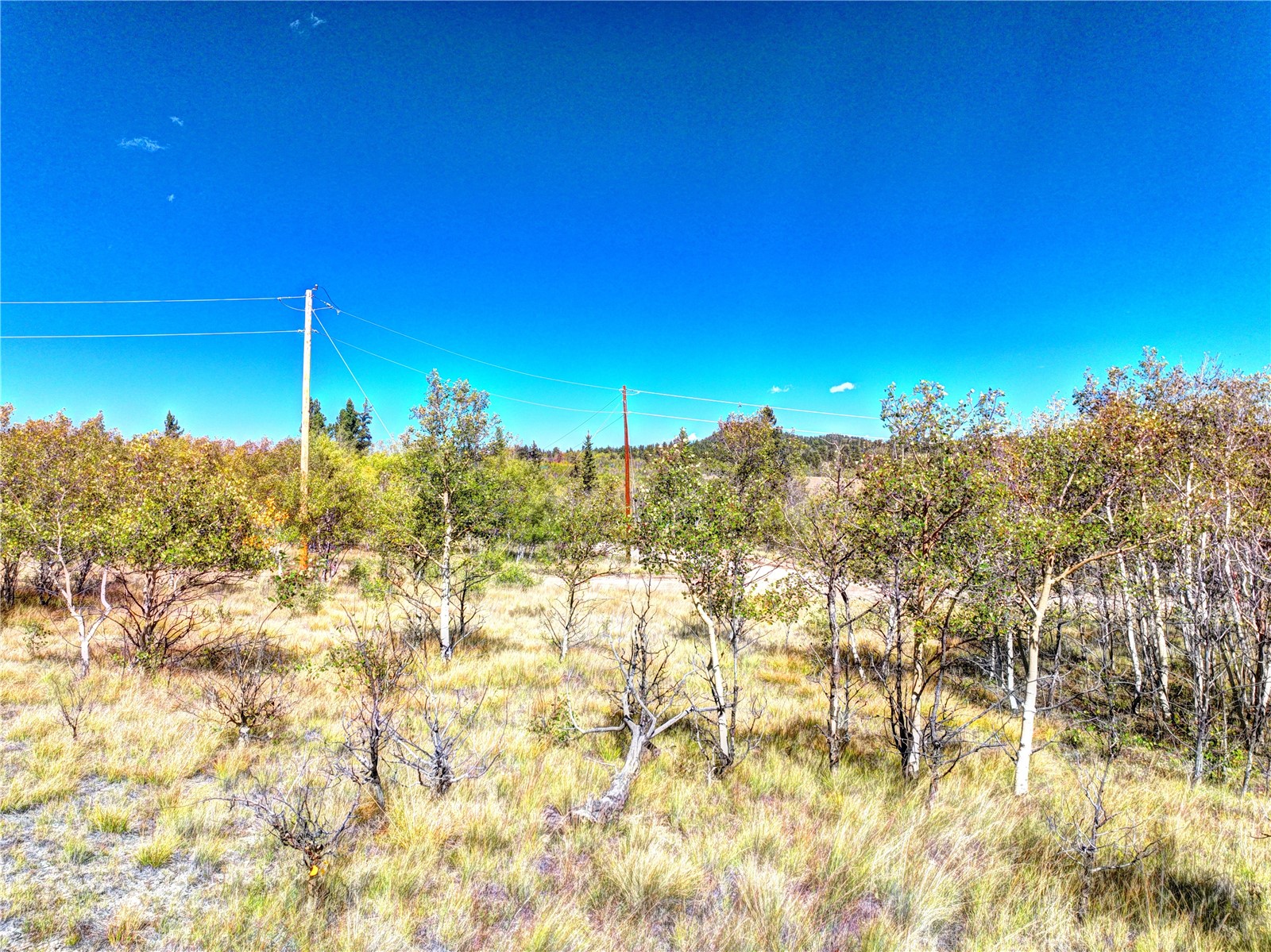 1300 Warrior Circle Como CO 80432