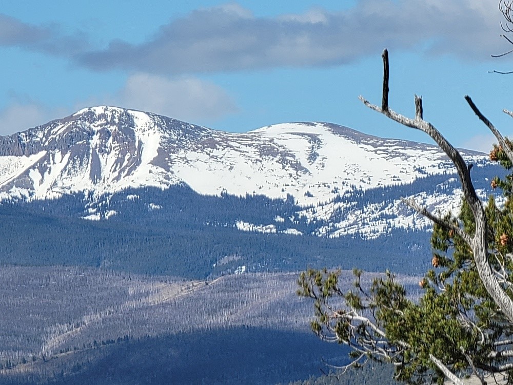 1411 Middle Fork Fairplay CO 80440
