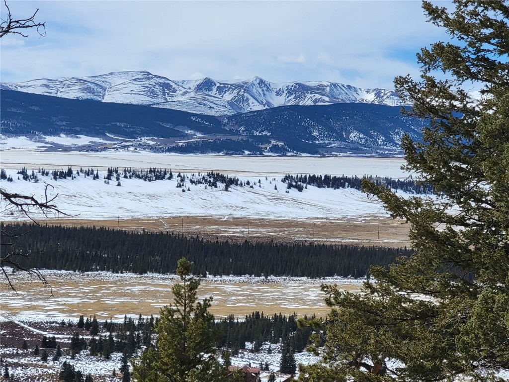 1411 Middle Fork Fairplay CO 80440