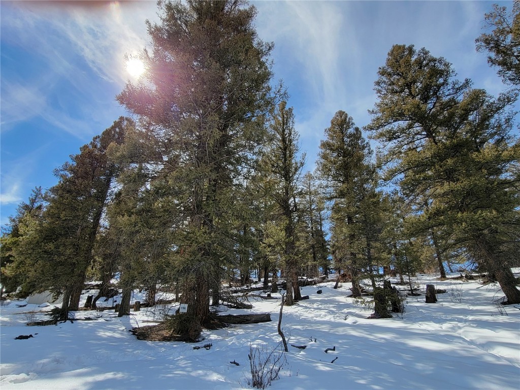 1411 Middle Fork Fairplay CO 80440