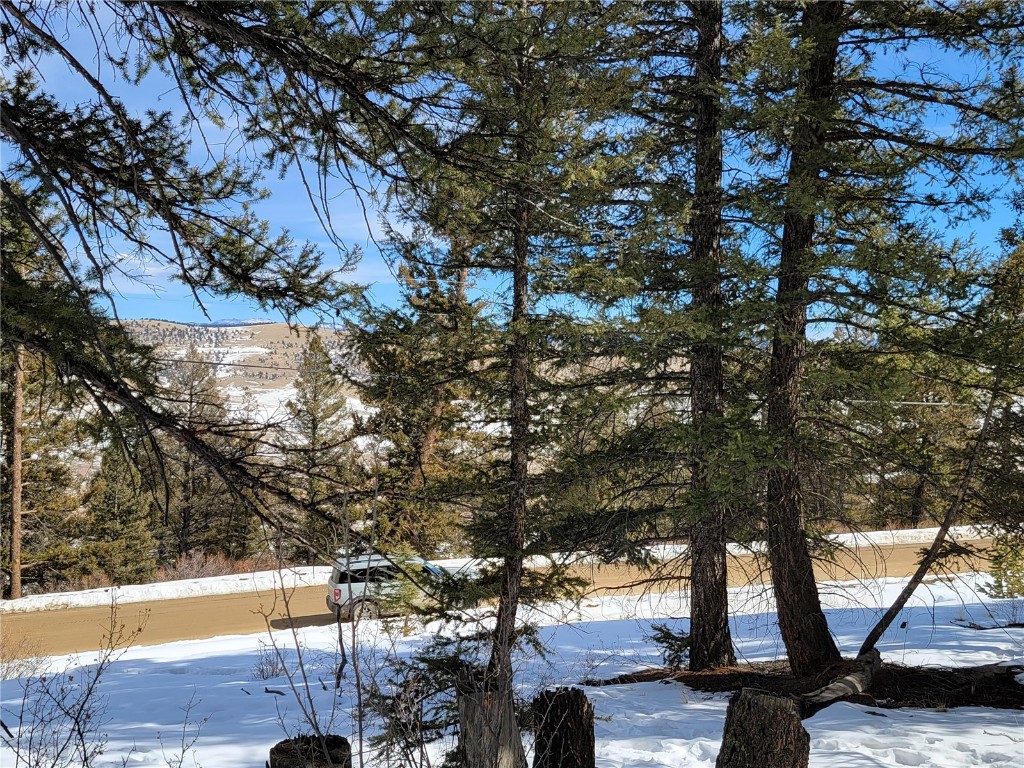 1411 Middle Fork Fairplay CO 80440