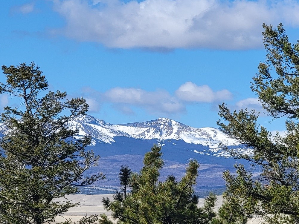 1411 Middle Fork Fairplay CO 80440