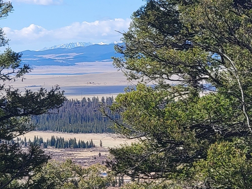 1411 Middle Fork Fairplay CO 80440