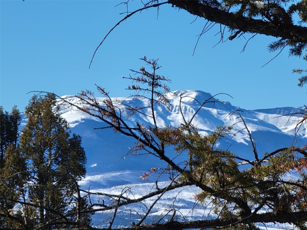 1411 Middle Fork Fairplay CO 80440