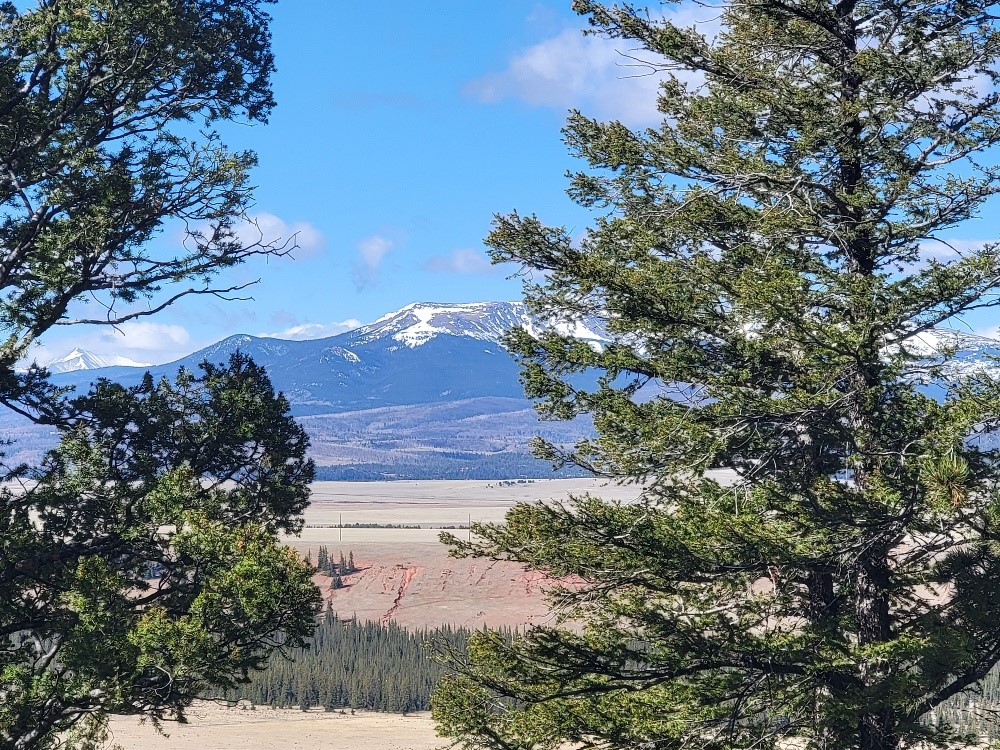 1411 Middle Fork Fairplay CO 80440