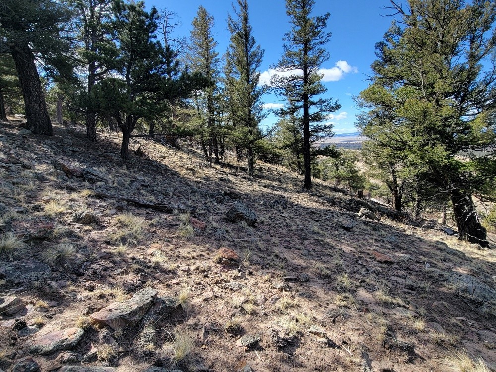 1411 Middle Fork Fairplay CO 80440