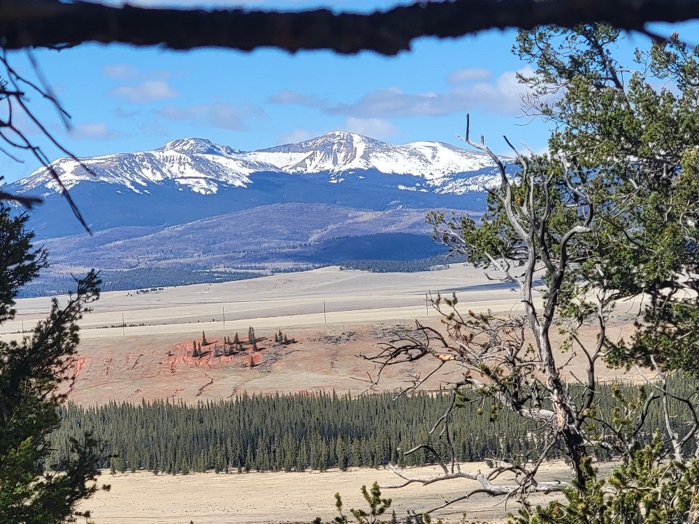 1411 Middle Fork Fairplay CO 80440