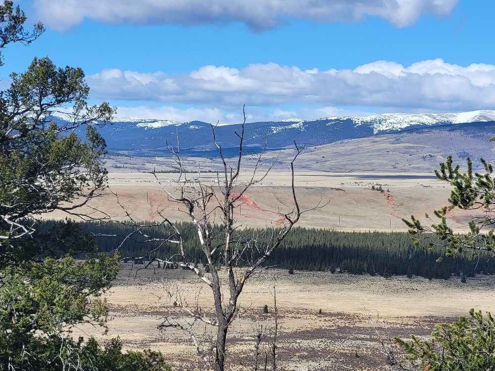 1411 Middle Fork Fairplay CO 80440